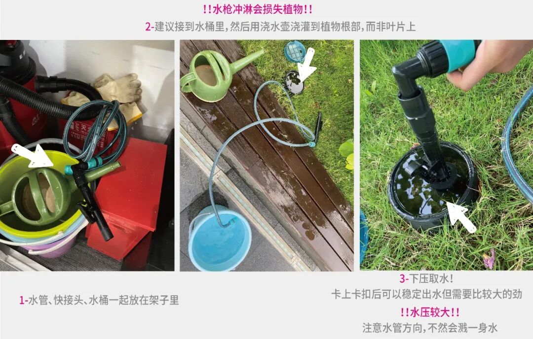 张唐探索|孤芳自赏的勇气——有.园张唐景观屋顶花园一年更新-133