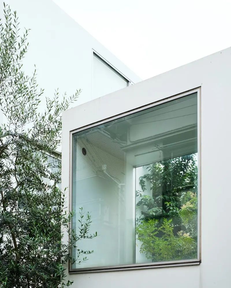 森山邸丨日本东京丨西泽立卫建筑设计事务所-13