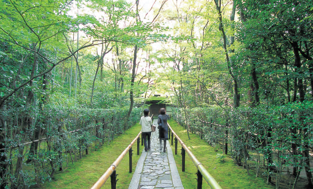 日本庭园艺术 | 传统与现代的完美结合-134