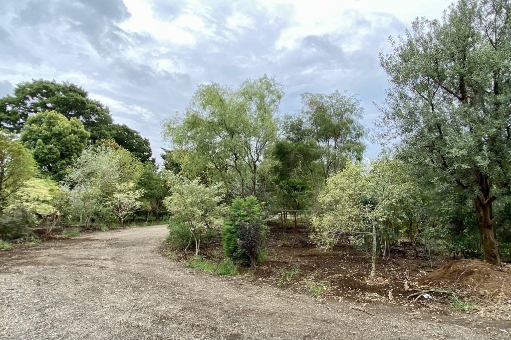 葉山の住宅／House in Hayama丨日本神奈川丨hm + architects一级建筑士事务所-4