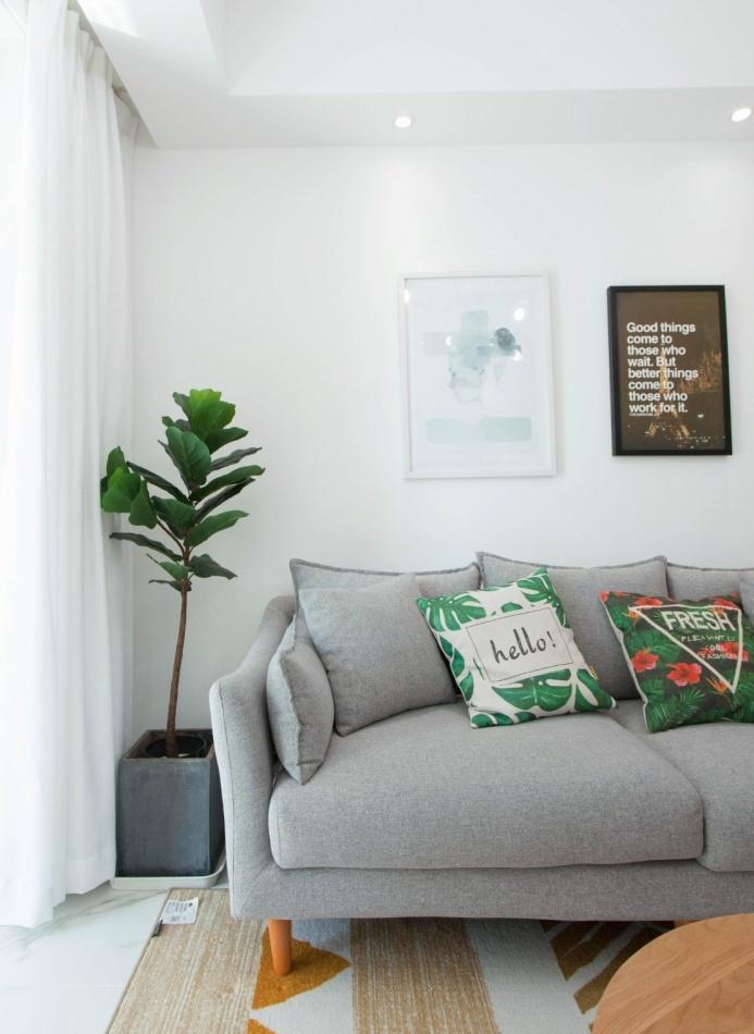 
钟爱白色 钟爱自由！ -4