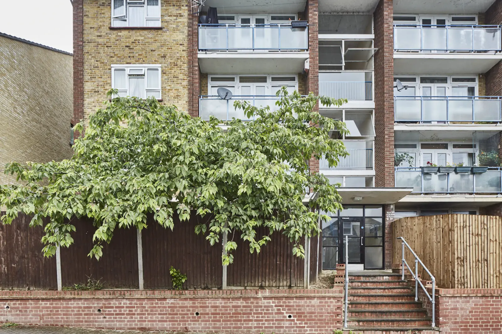 伦敦南部自然风公寓 | 开放式厨房，私人绿意花园-24