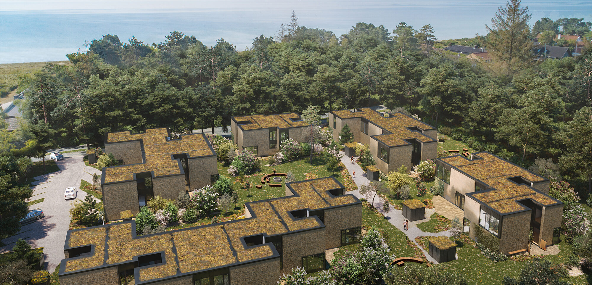 Strandskoven - entasis-37