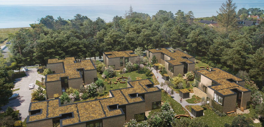 Strandskoven - entasis-37