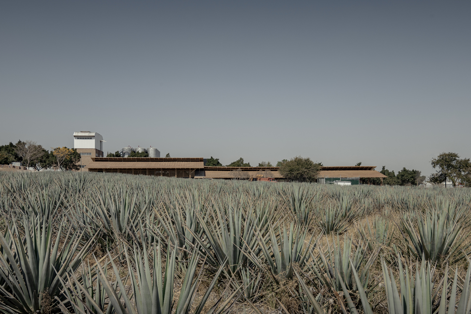 梅斯卡尔酒厂丨墨西哥丨Estudio ALA建筑工作室-10