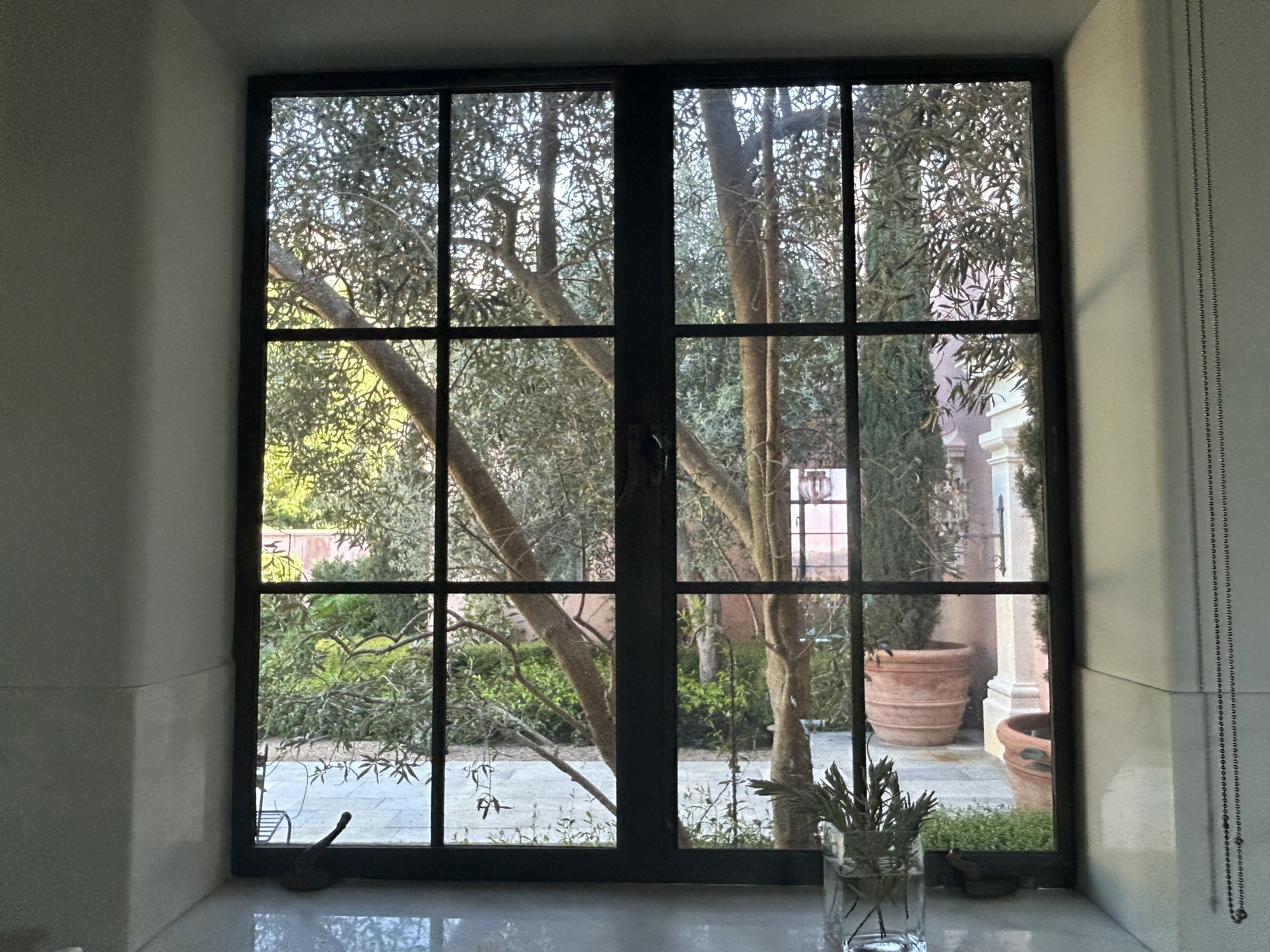 橄榄树修剪以改善厨房采光及树干线条-7