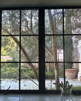 橄榄树修剪以改善厨房采光及树干线条