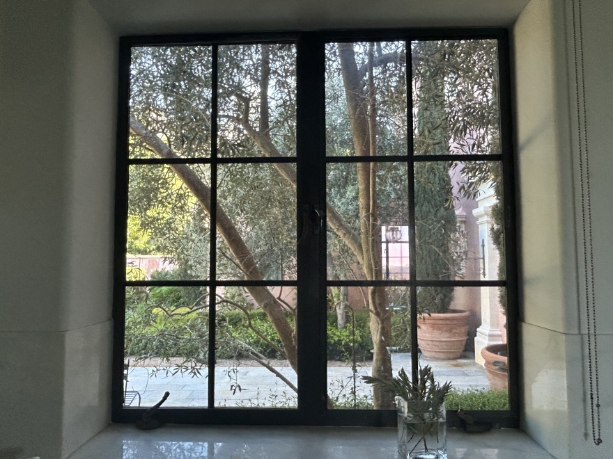 橄榄树修剪以改善厨房采光及树干线条-7