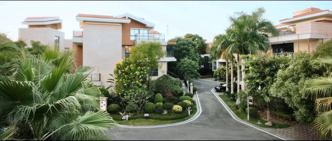 江熠,余声声的家-28