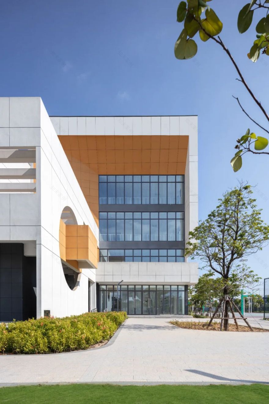 夏至丨夏至已至,万物繁茂-22