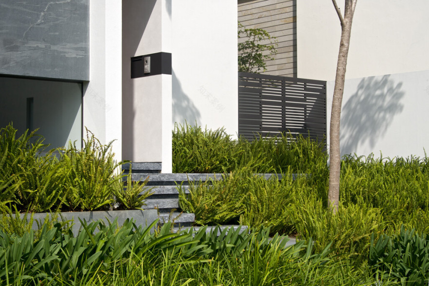 墨西哥“树屋”设计-29