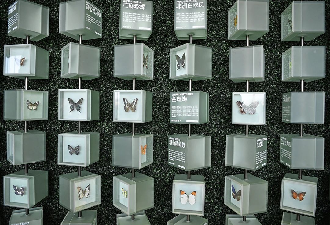 万科公园城市示范区-187