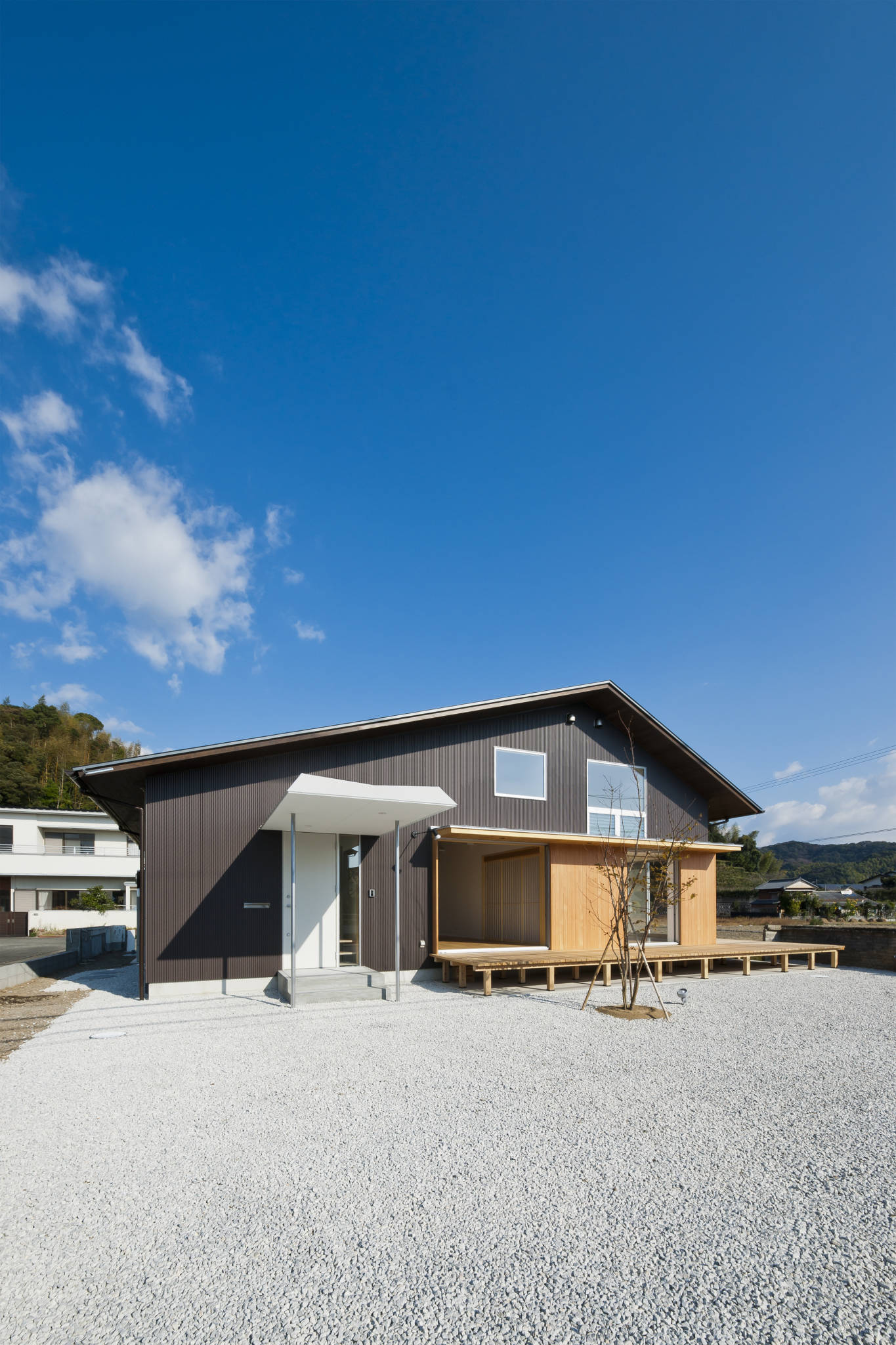 Totoro（托托罗）-3