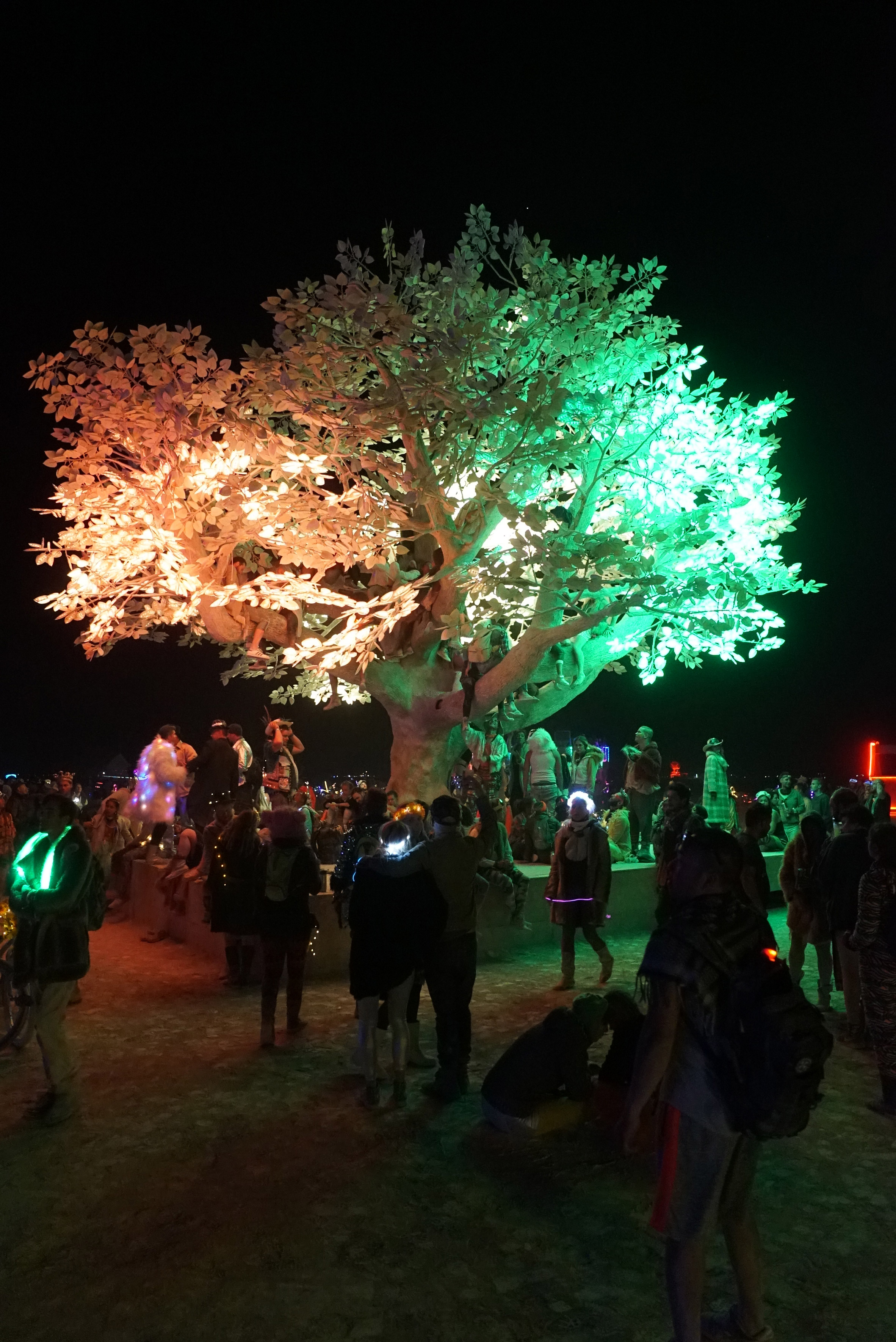 Tree of Ténéré responds to Burning Man attendees with light patterns-8