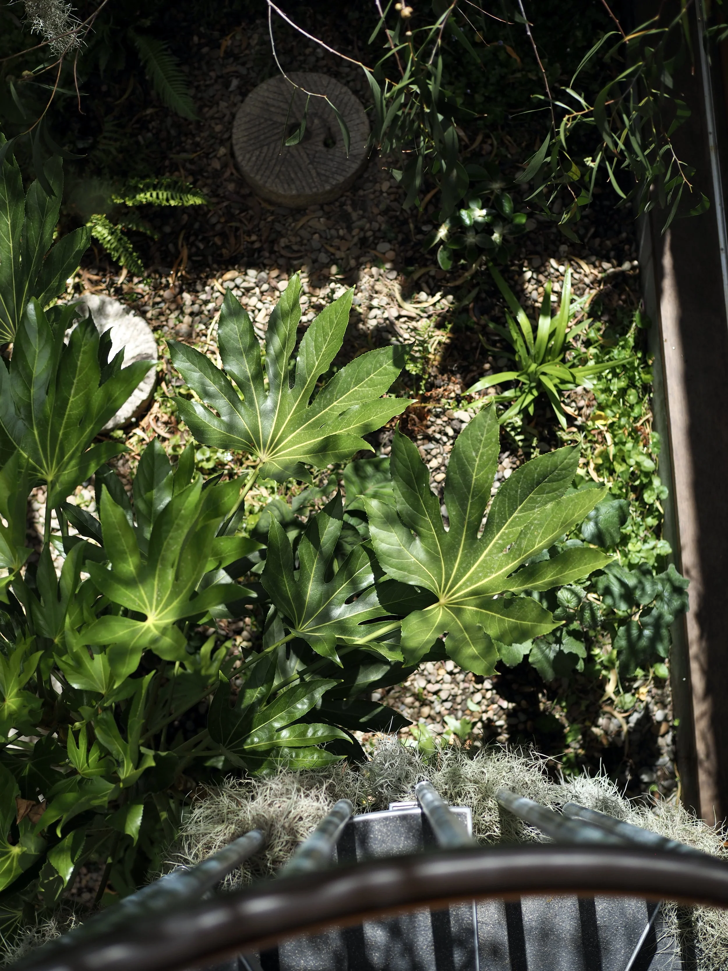 丨MODO（建筑设计）,Straw Brothers（设计,园艺与摄影）-12