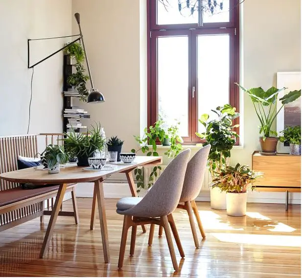 周末家居设计灵感 | 北欧风格与绿色植物的完美结合-19