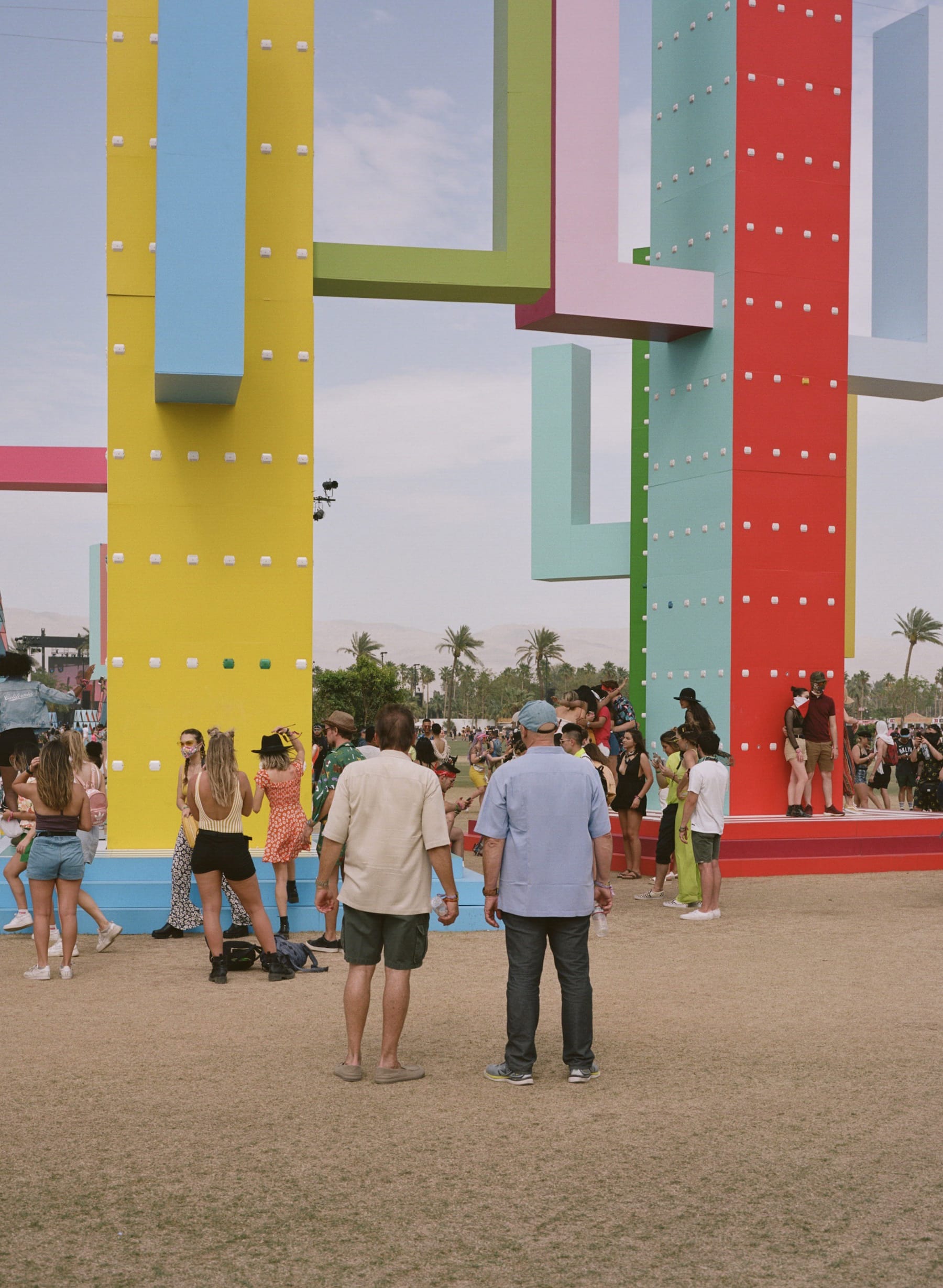 巨大仙人掌,科瓦奇办公室-20