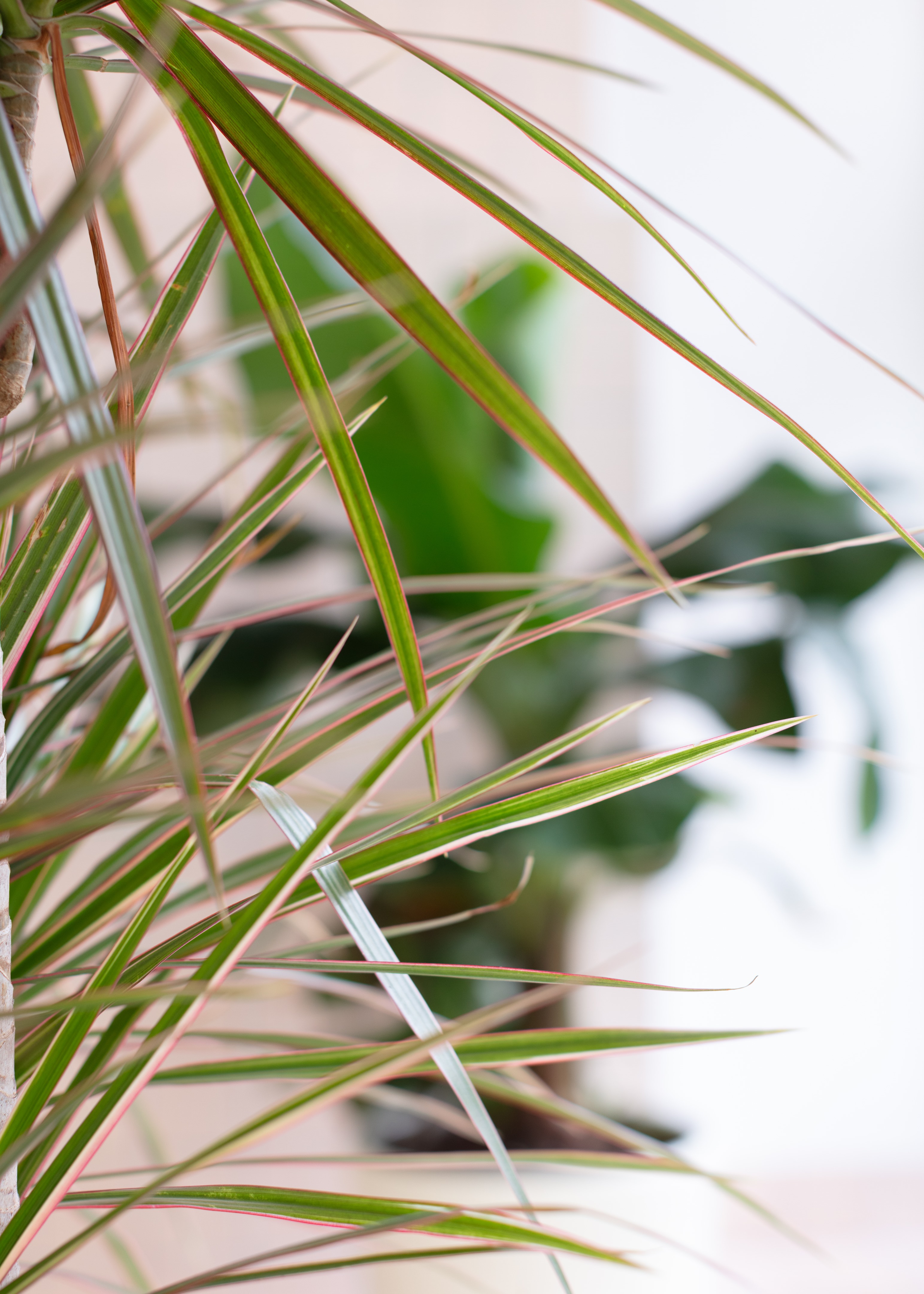 ORIGINFloatSpa · 沉浸式漂浮体验的梦幻空间丨瑞士日内瓦-25