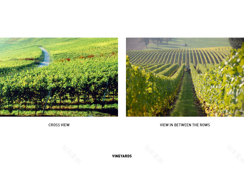 南摩拉维亚 Lahofer 酒庄——风景与美酒的完美融合-9