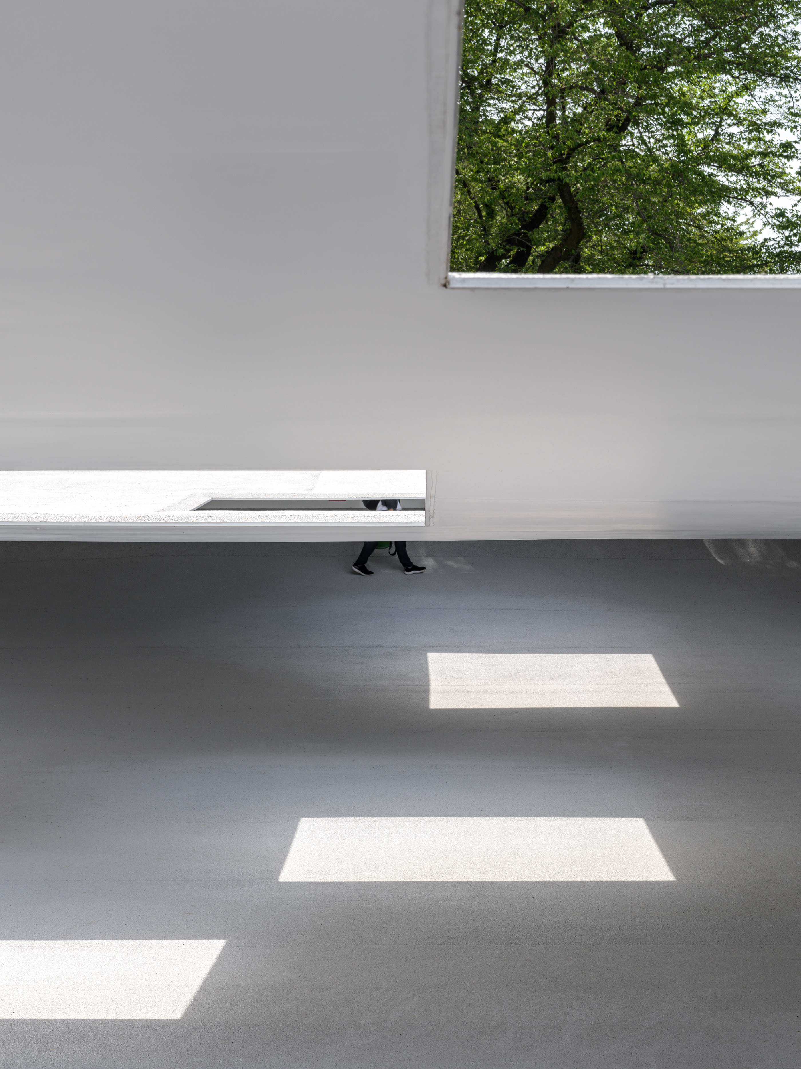 神奈川工业大学 KAIT 广场丨日本丨Junya Ishigami-7