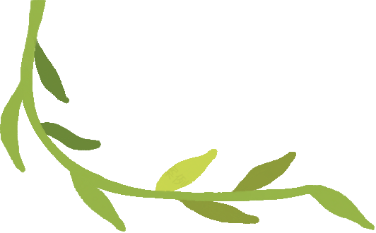 官宣!中旅酒店落子斐济-45