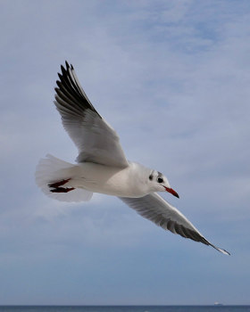 无明确体现丨无相关信息