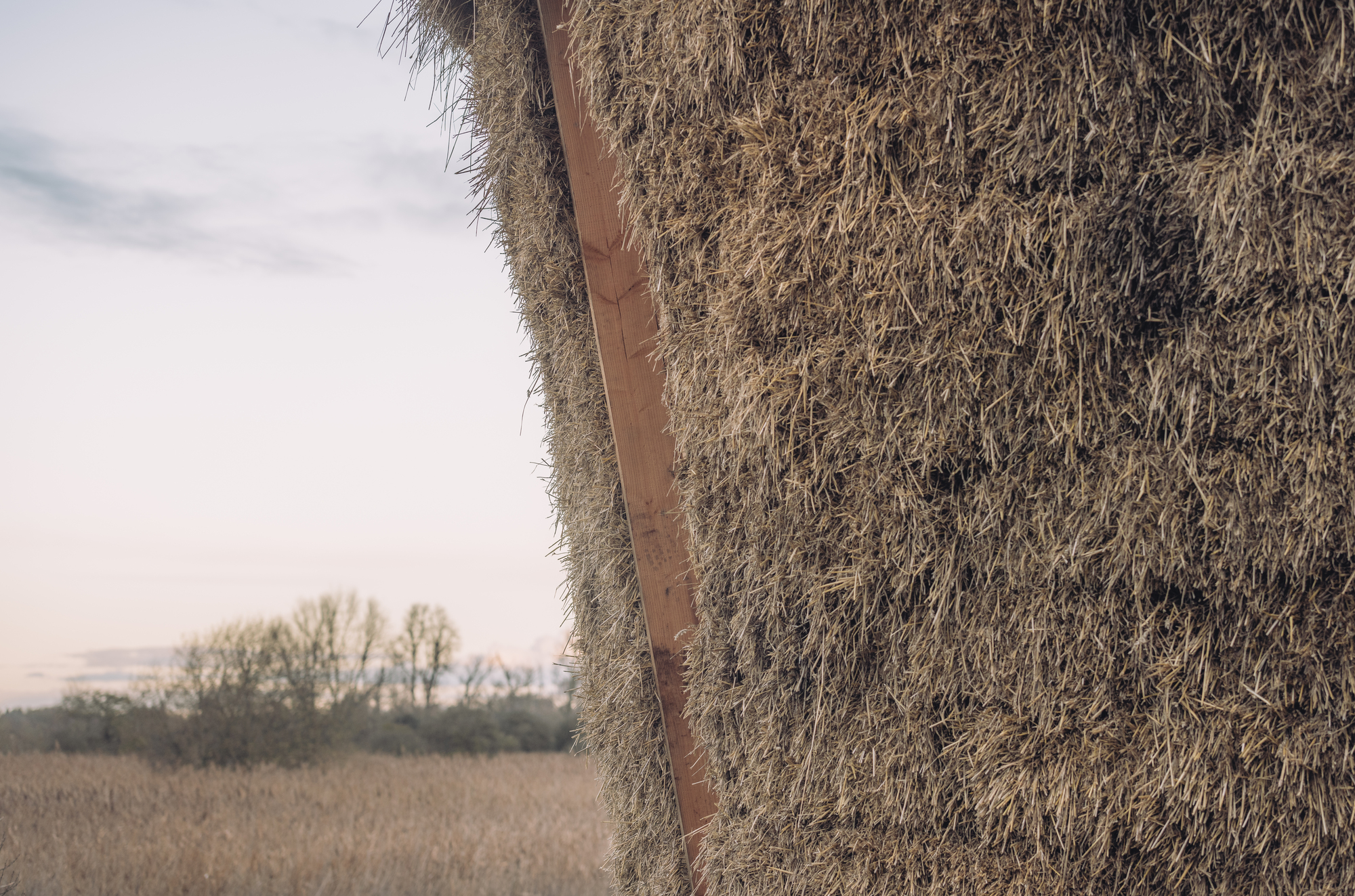 Mother Pavilion / Studio Morison-20