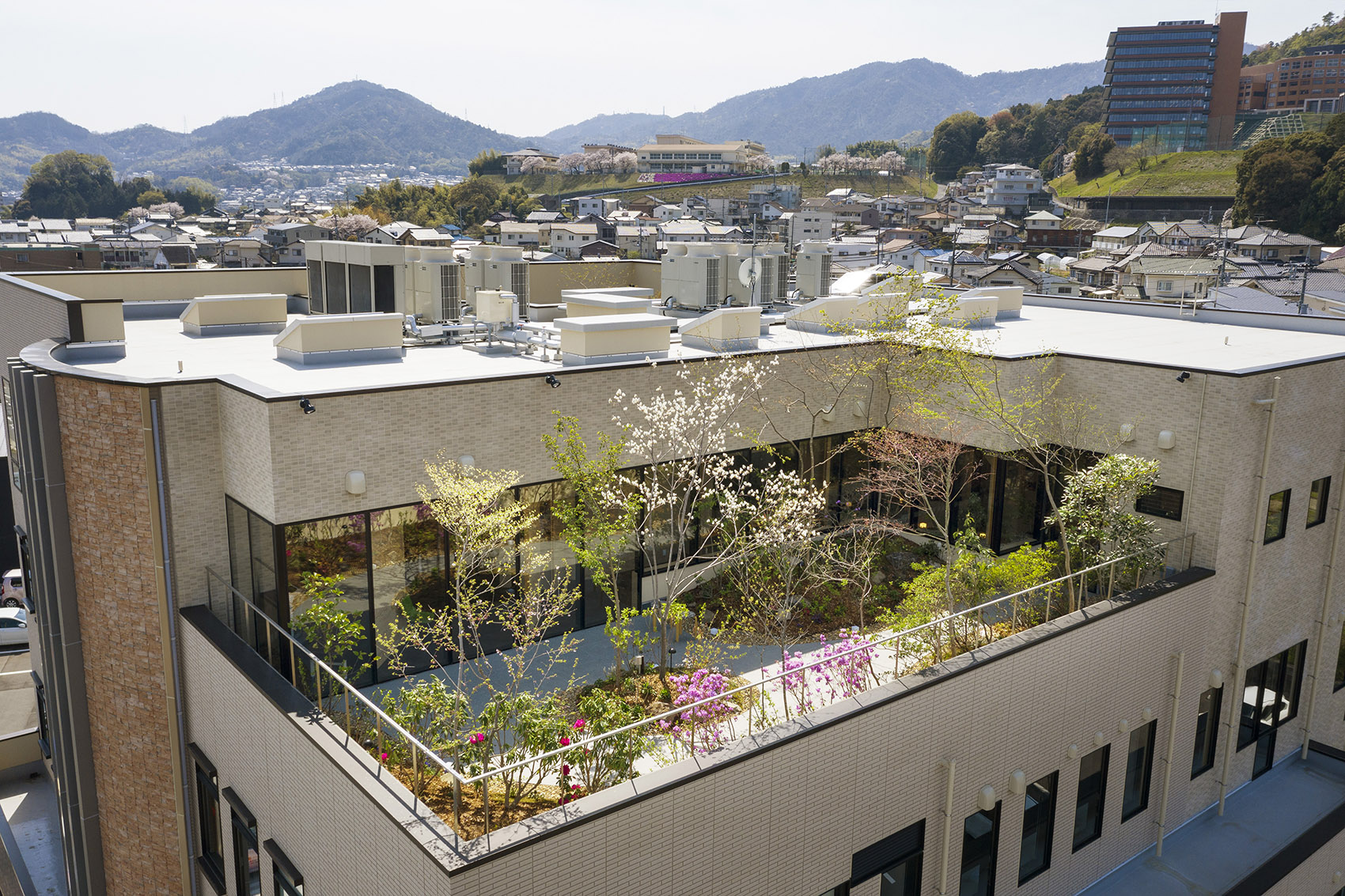 日本 SASAKI 脊柱诊所丨UID – Keisuke Maeda-5