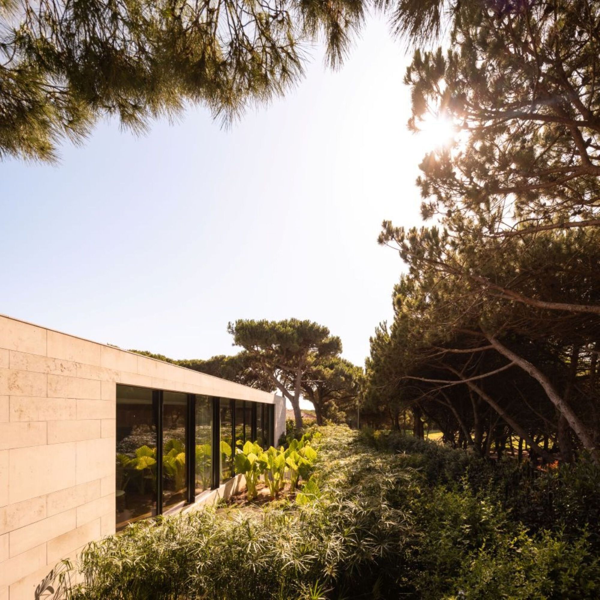 丨葡萄牙丨João Tiago Aguiar,Arquitectos-43