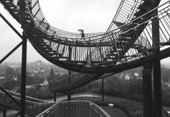 “老虎与乌龟”丨德国丨德国艺术家乌尔里希·根茨和海克·穆特-14