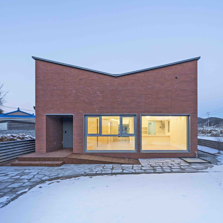 温暖阳光照亮受伤主人生活-2