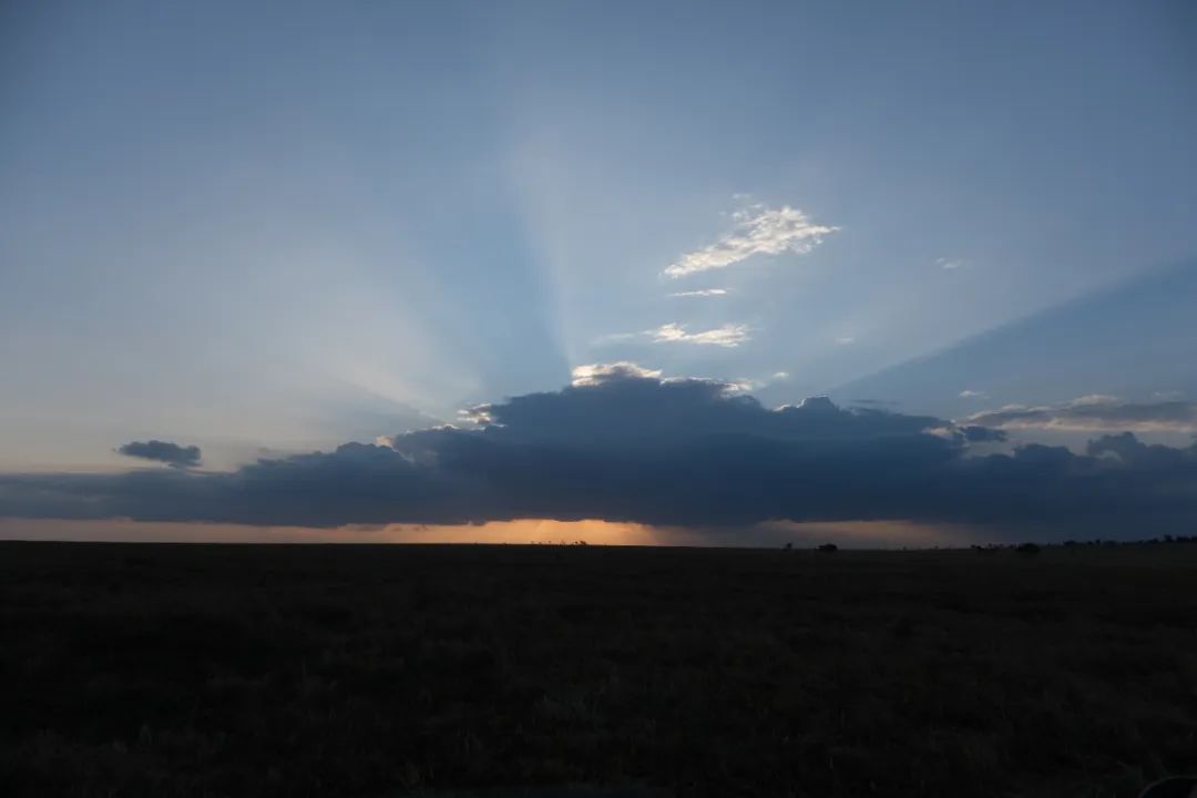 非洲考察1|初抵塞伦盖蒂-79