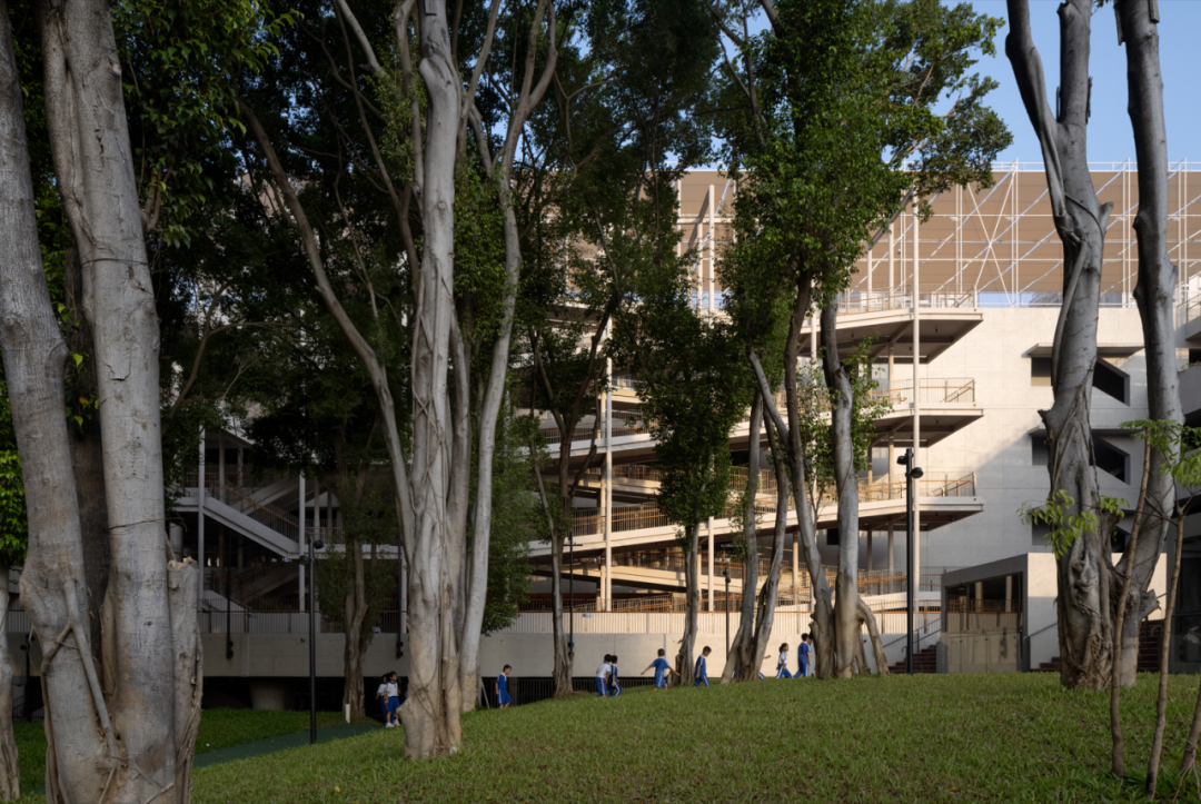 【AT建筑】榕树高台——荔园外国语小学（景田）设计札记（by直向建筑）-130