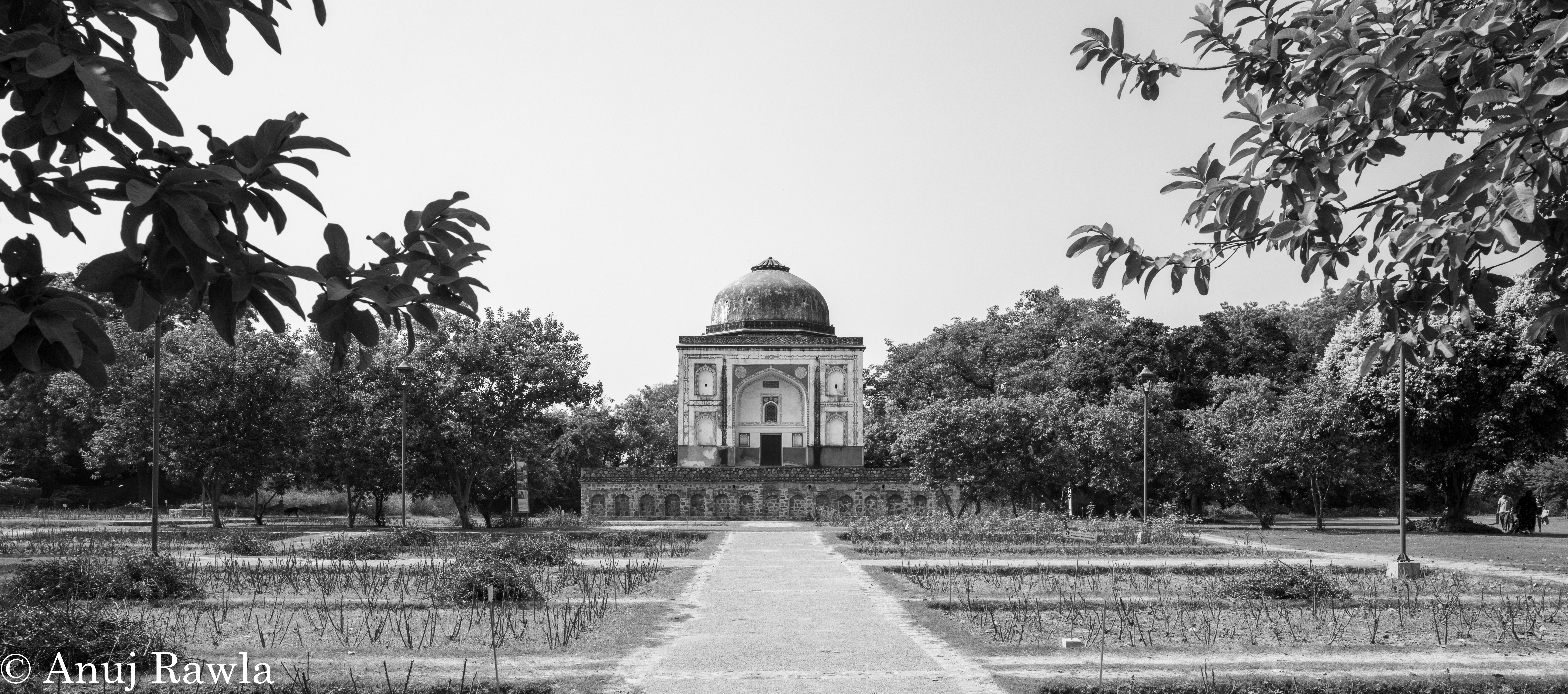 Sunder Nagar Nursery - Oct 2020 Sunday Market-73