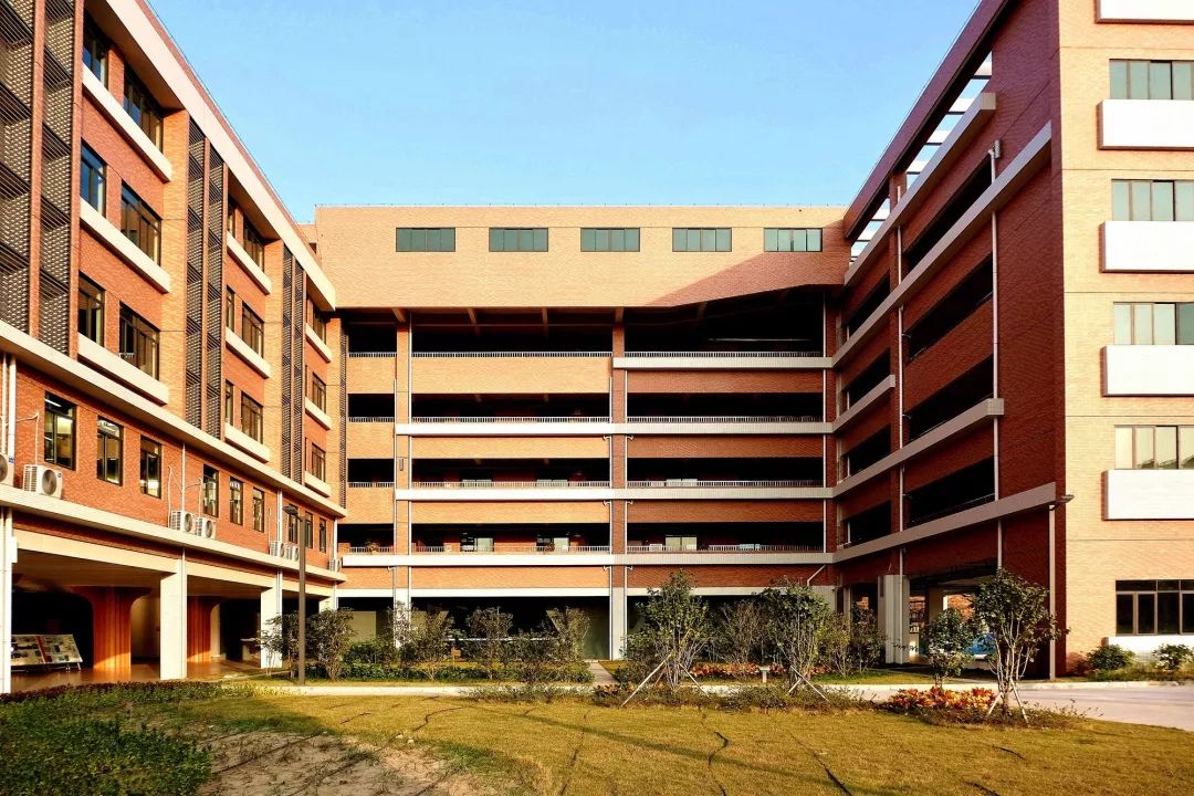 华奥艺术学校 | 佛山禅城绿色教育空间-18