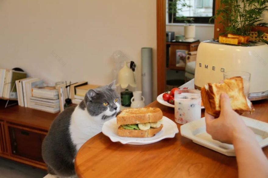 森林小屋 · 上海55平老房子变身诗意空间丨中国上海丨屋主琪琪-102