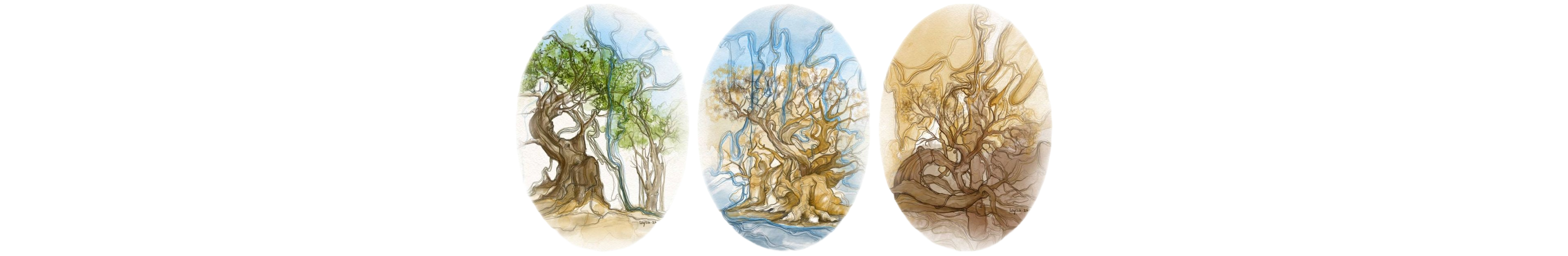 世界上的树木丨Sylvie D.-153