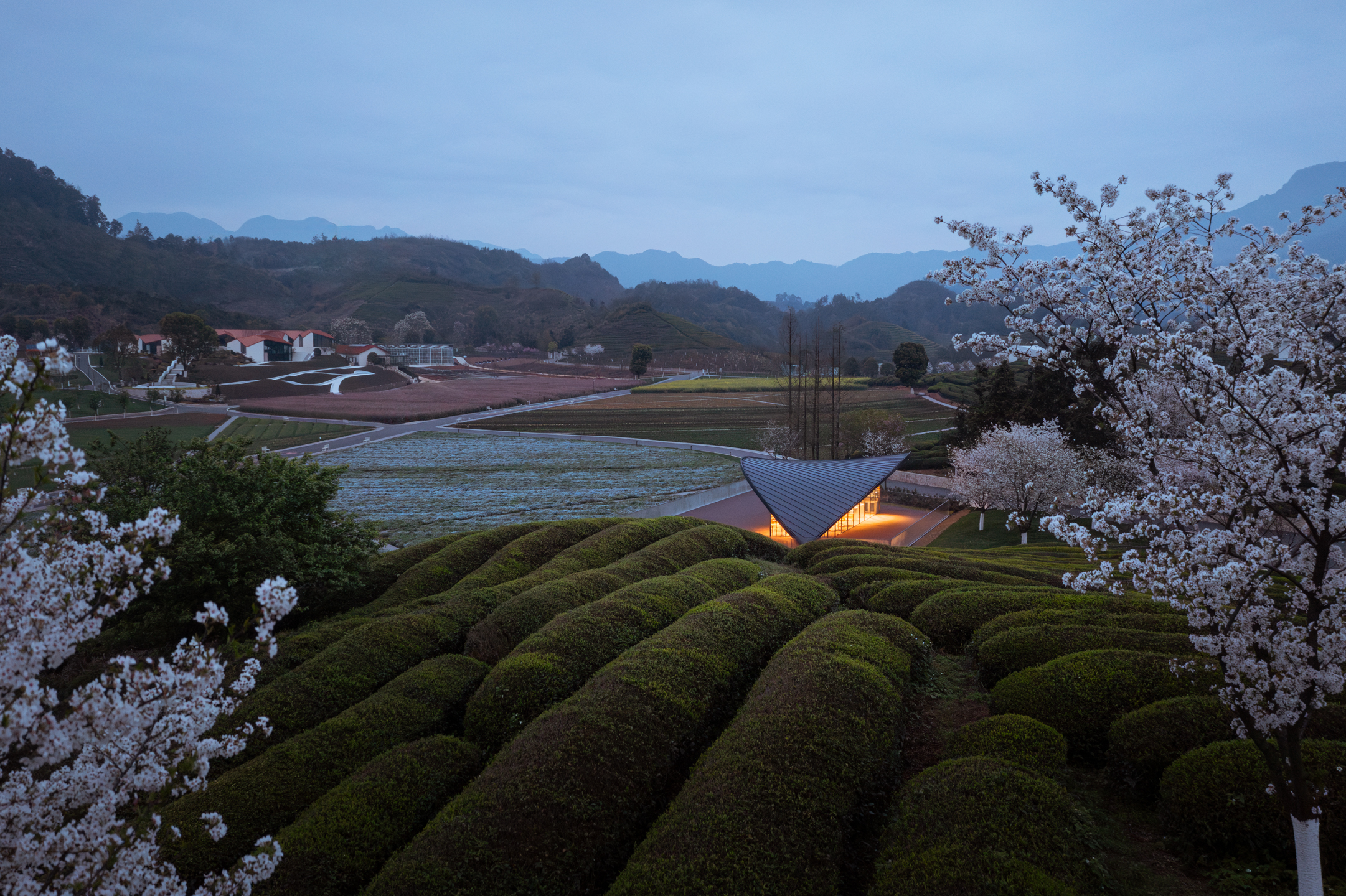 一叶咖啡丨可方思-32