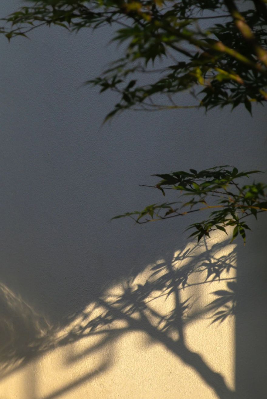 上海桃花源大隐雅墅丨中国上海丨禾蕴-8