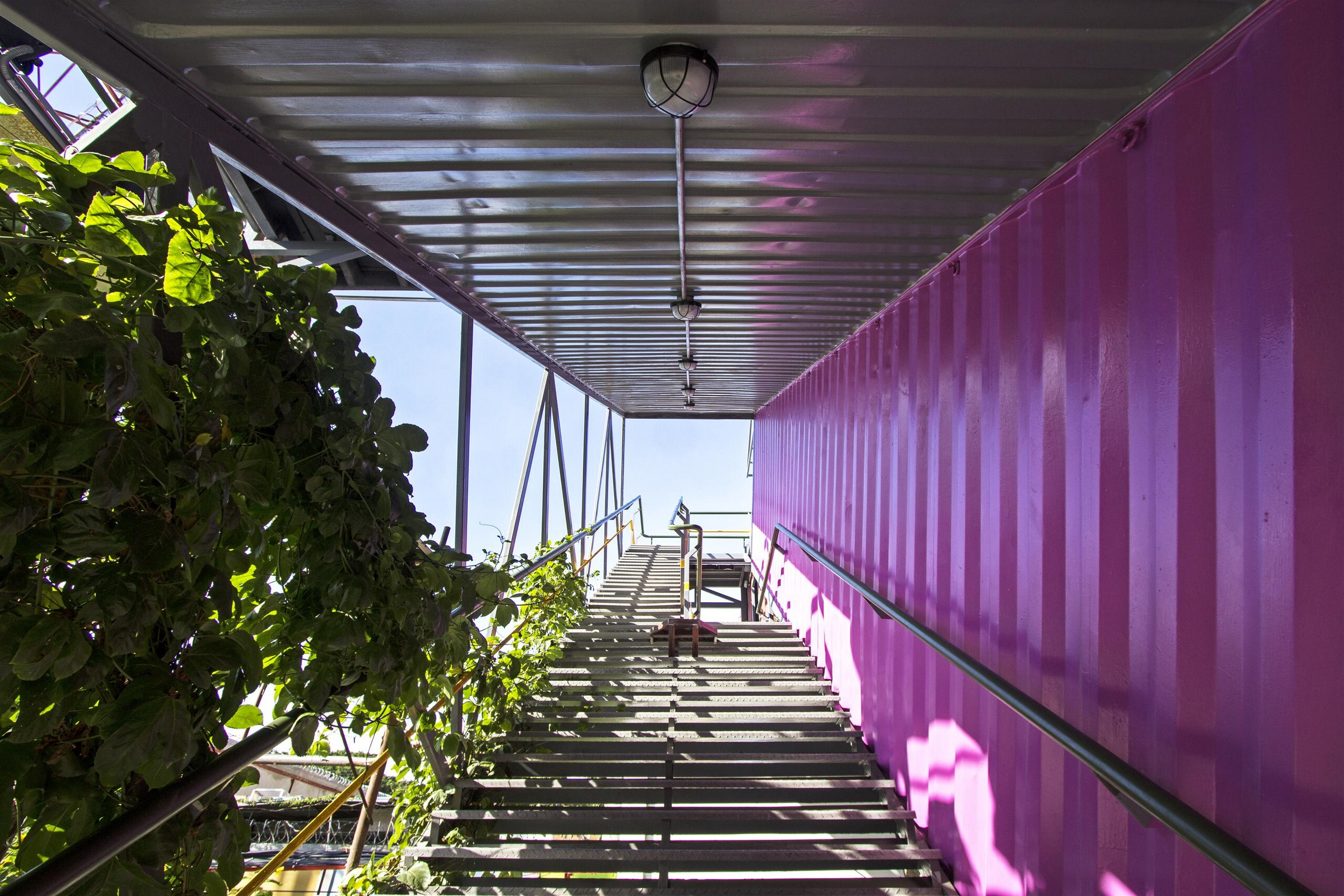 颠覆废墟的创意重生 · Venezuelan 文化生产区-25