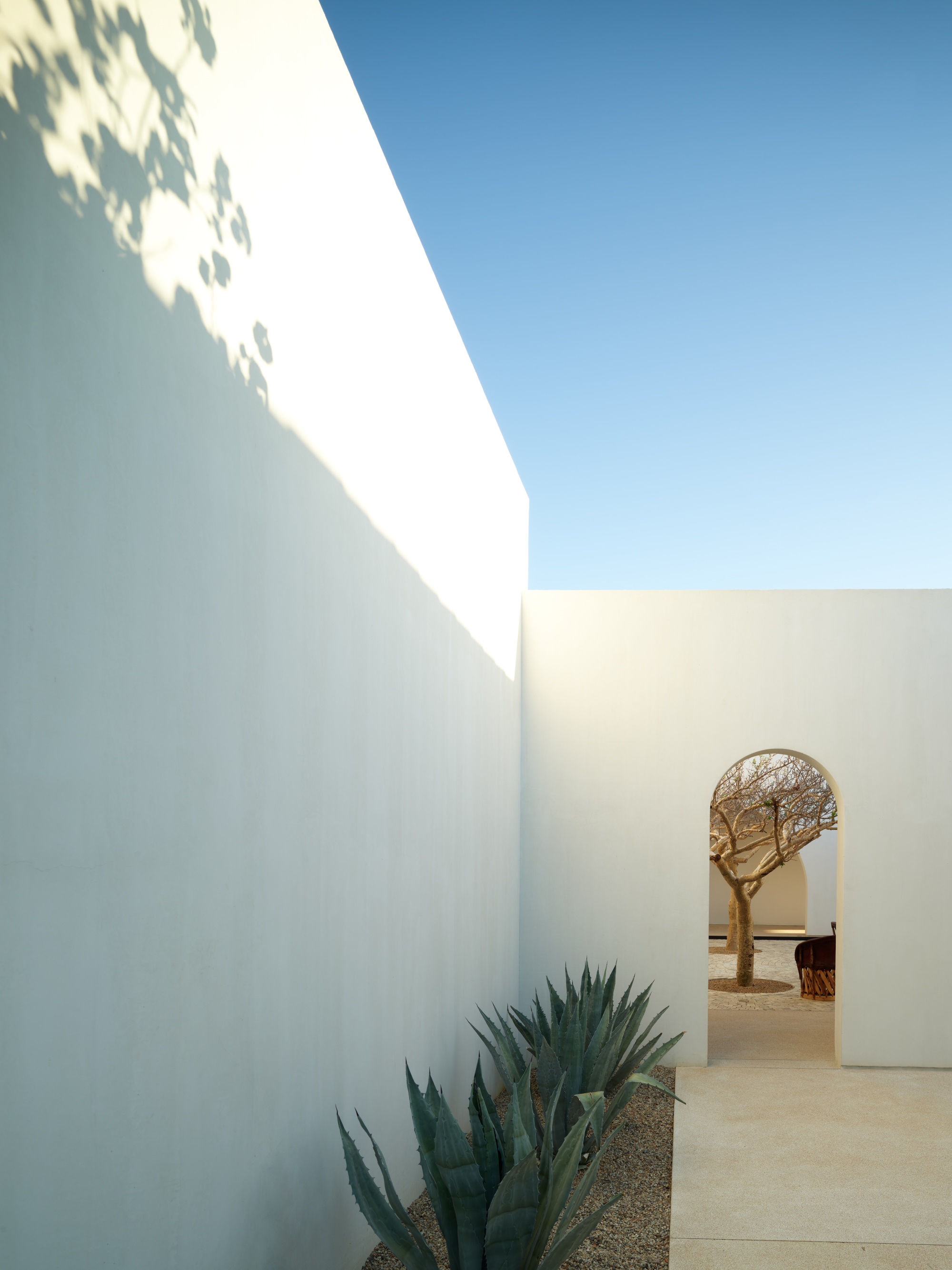 乡村庭院丨墨西哥-26