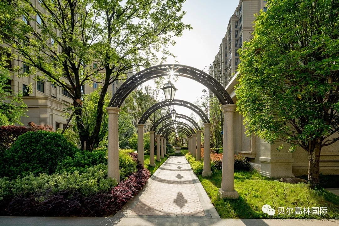 合肥新华•御湖庄园-58