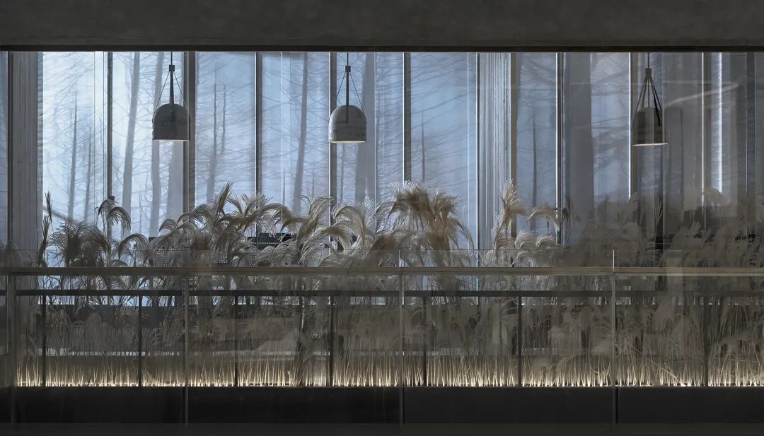 深圳食冶日料餐厅（COCOPARK 店）丨中国深圳丨TOMO DESIGN,東木筑造设计事务所-15