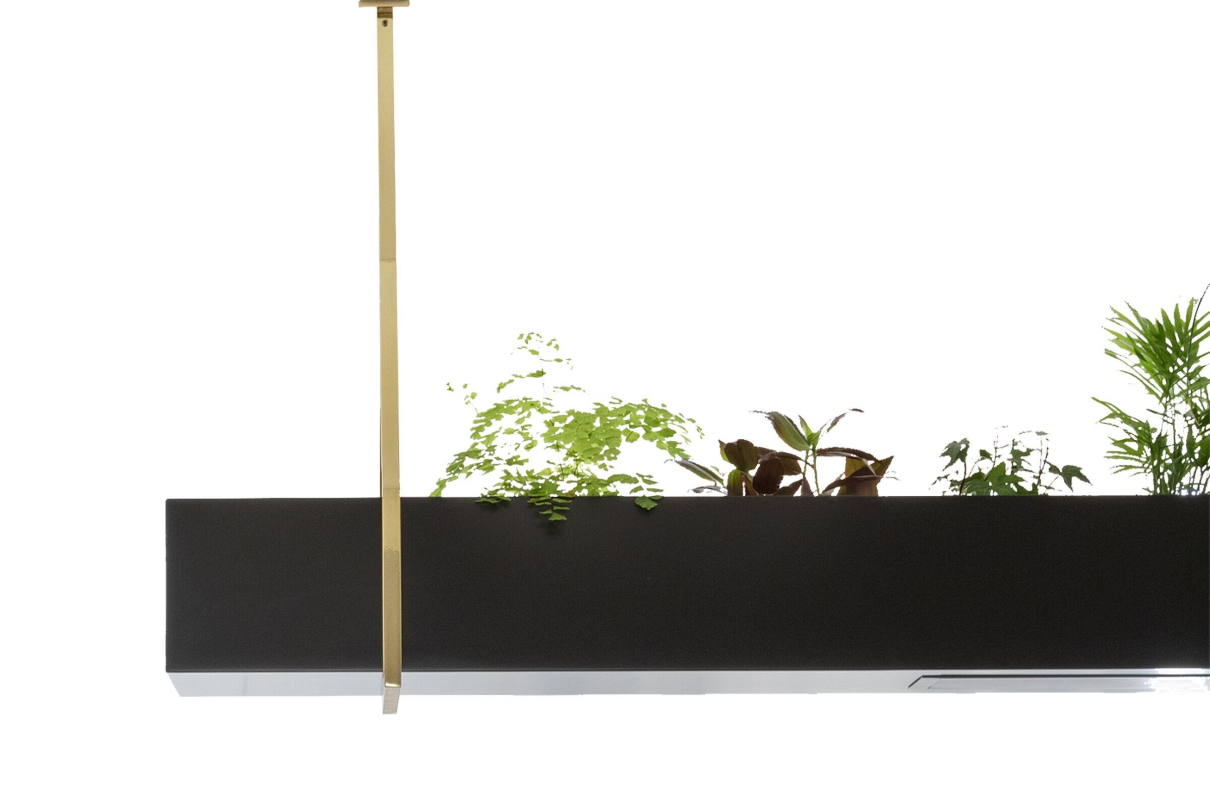 巴西圣保罗 FT 公寓丨Zalc Arquitetura(Rafael Zalc)-20