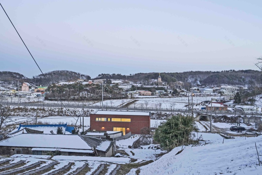 温暖阳光照亮受伤主人生活-52