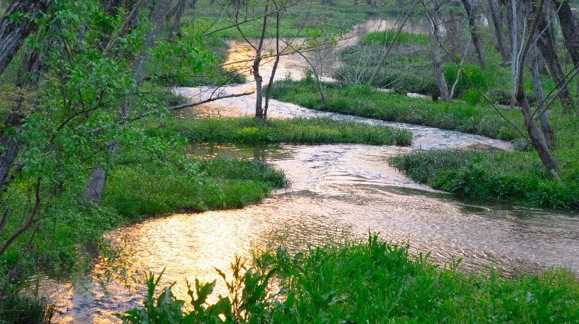 古村落新生 · 传统与现代的共生丨中国-21