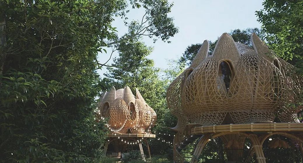 梦幻丛林度假别墅丨斯里兰卡丨Thilina Liyanage-5