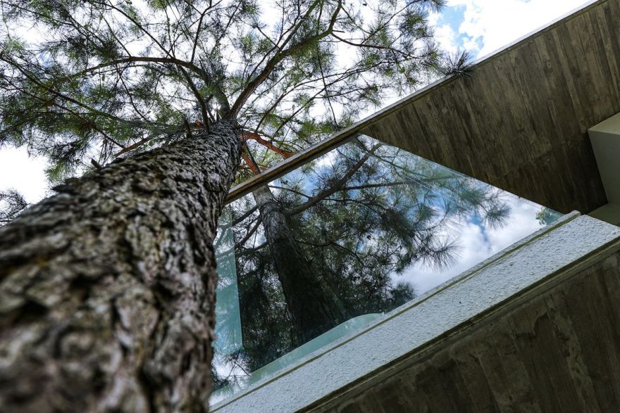 Ba Vì森林中的开放互动生活空间-88