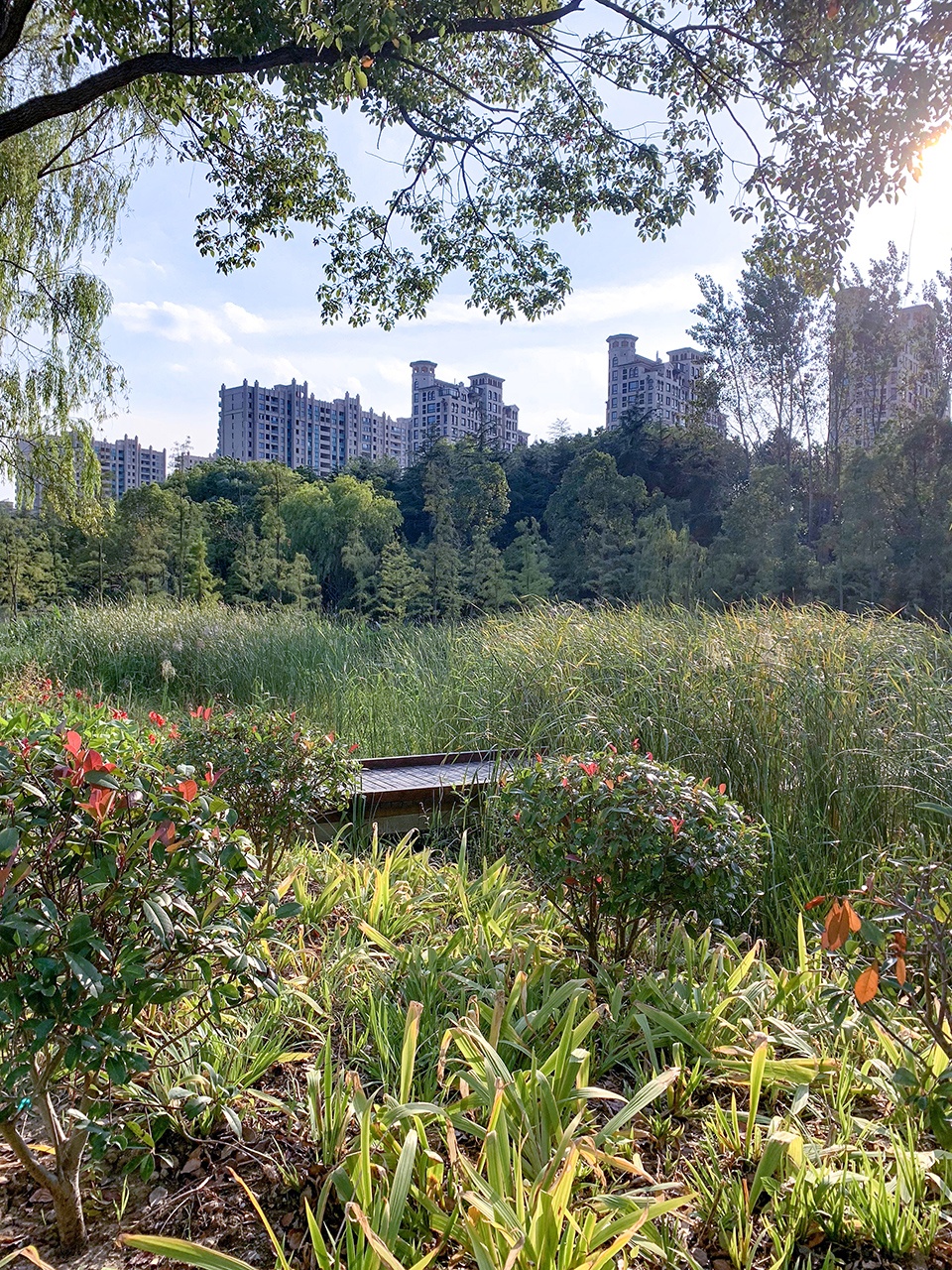 昆山市城市生态森林西入口丨中国鞍山丨PLAT Studio-77