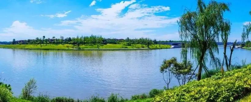 川发天府上城取证 | 性价比超群的大盘清水房来了!-26